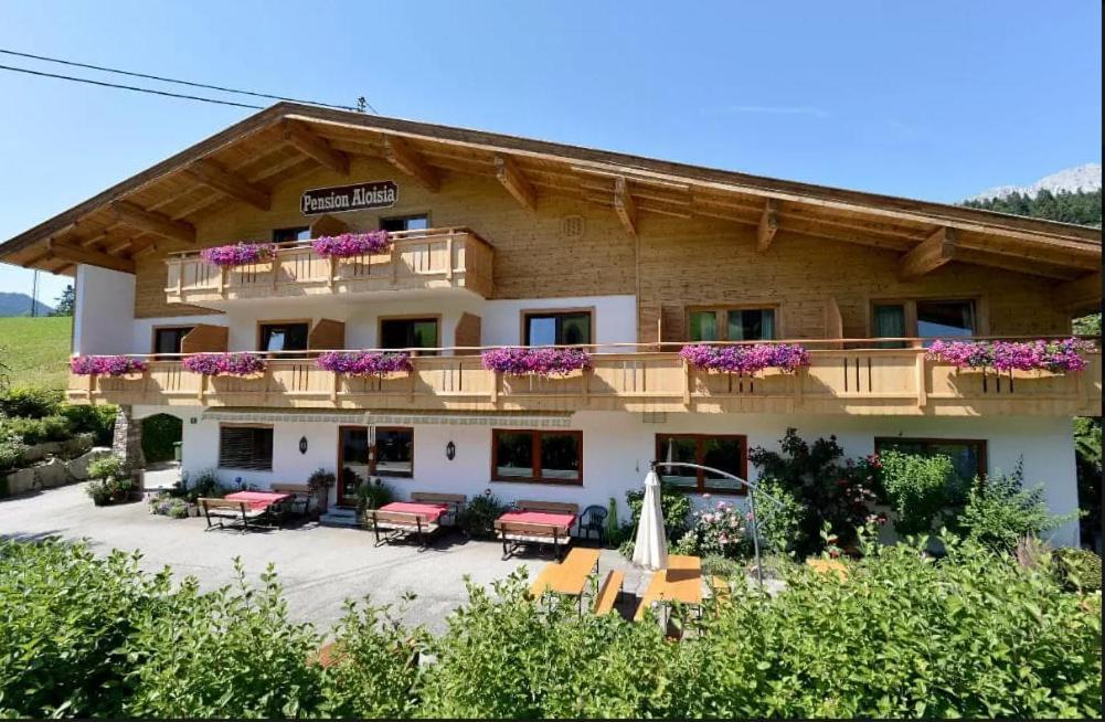 Pension Aloisia Scheffau am Wilden Kaiser Luaran gambar