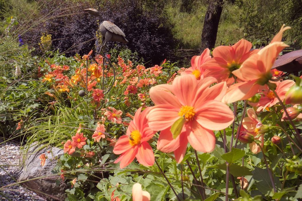 Pension Aloisia Scheffau am Wilden Kaiser Luaran gambar