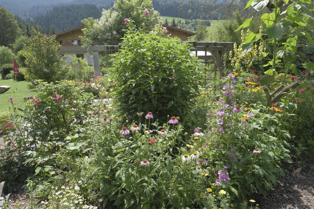 Pension Aloisia Scheffau am Wilden Kaiser Luaran gambar