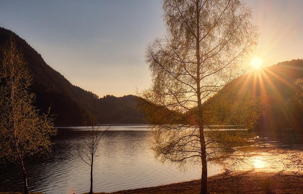 Pension Aloisia Scheffau am Wilden Kaiser Luaran gambar