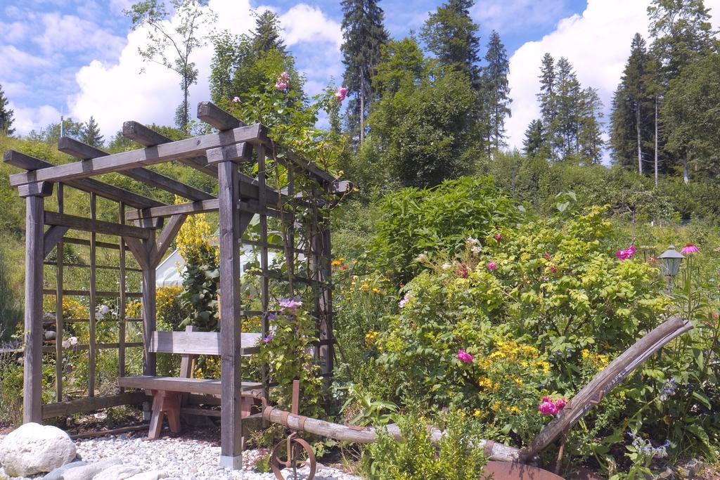 Pension Aloisia Scheffau am Wilden Kaiser Luaran gambar