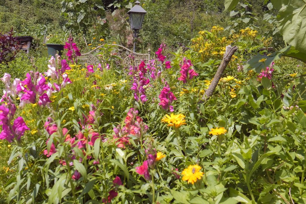 Pension Aloisia Scheffau am Wilden Kaiser Luaran gambar