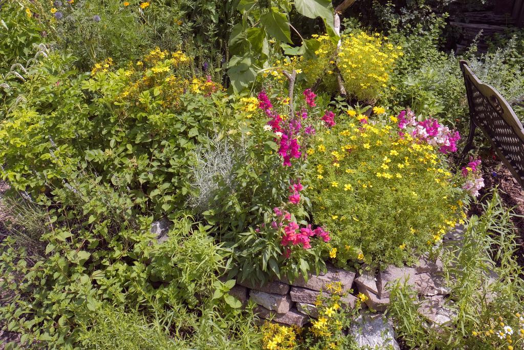 Pension Aloisia Scheffau am Wilden Kaiser Luaran gambar