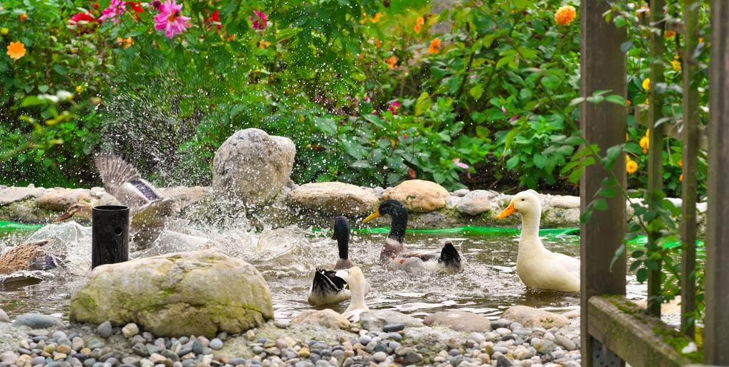 Pension Aloisia Scheffau am Wilden Kaiser Luaran gambar