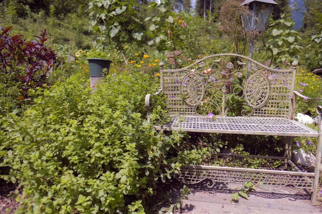 Pension Aloisia Scheffau am Wilden Kaiser Luaran gambar
