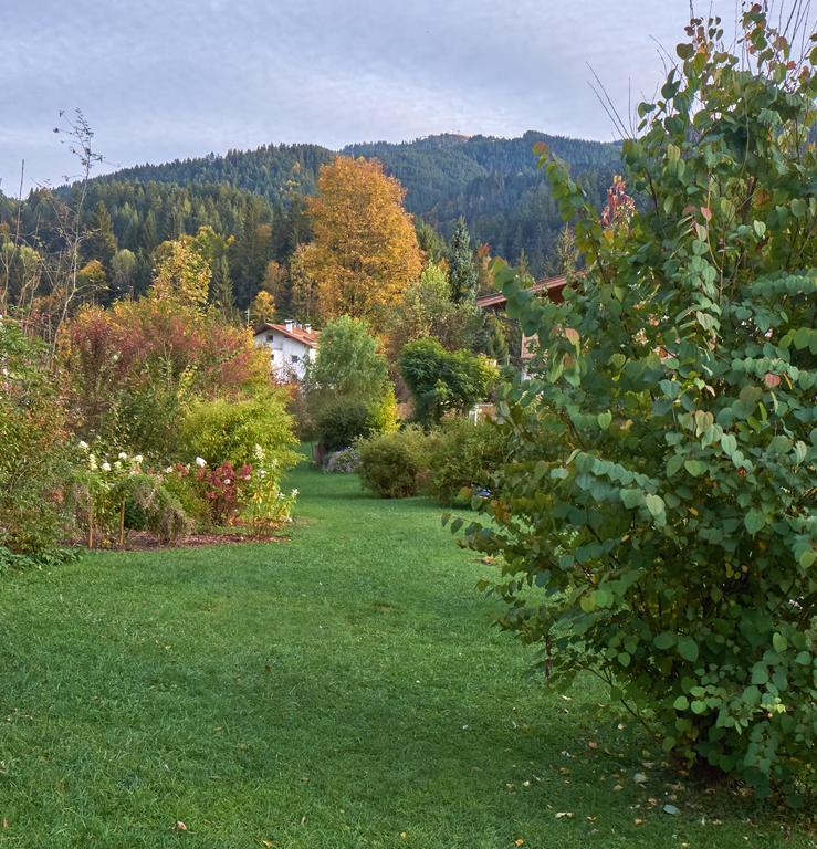 Pension Aloisia Scheffau am Wilden Kaiser Luaran gambar